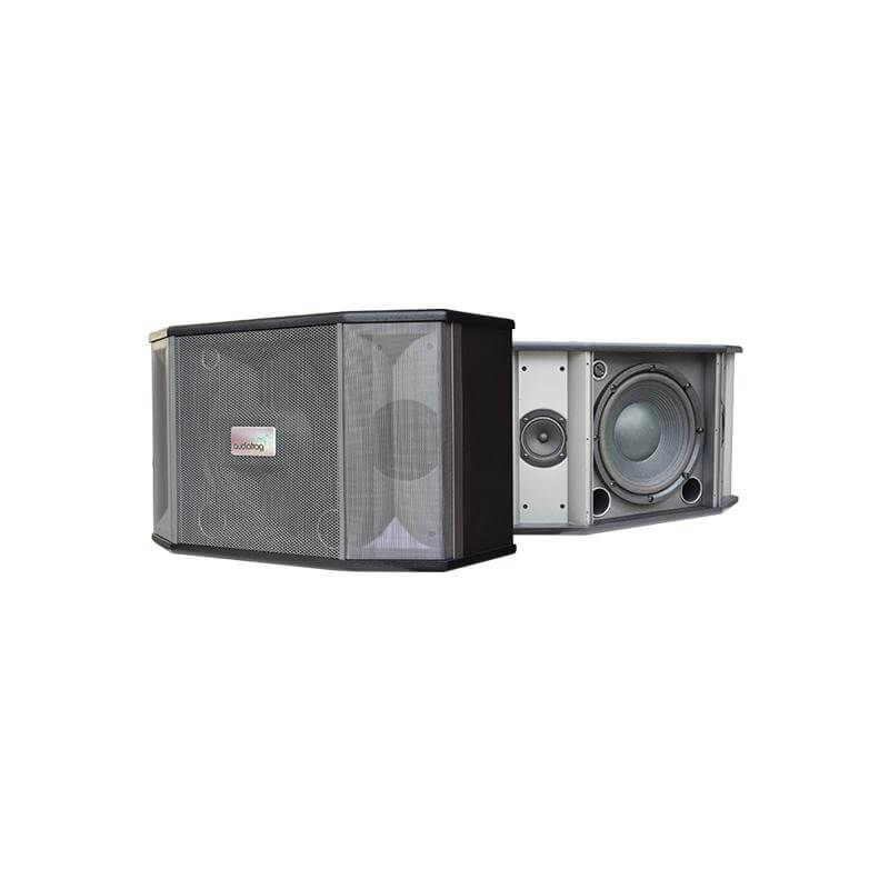 Loa bookshelf karaoke AUDIOFROG M10F