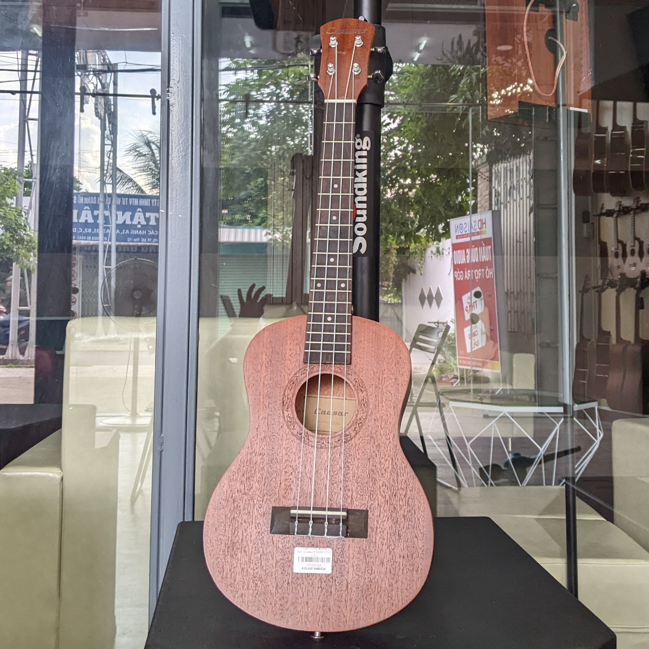 Đàn Ukulele CEASAR UT-63