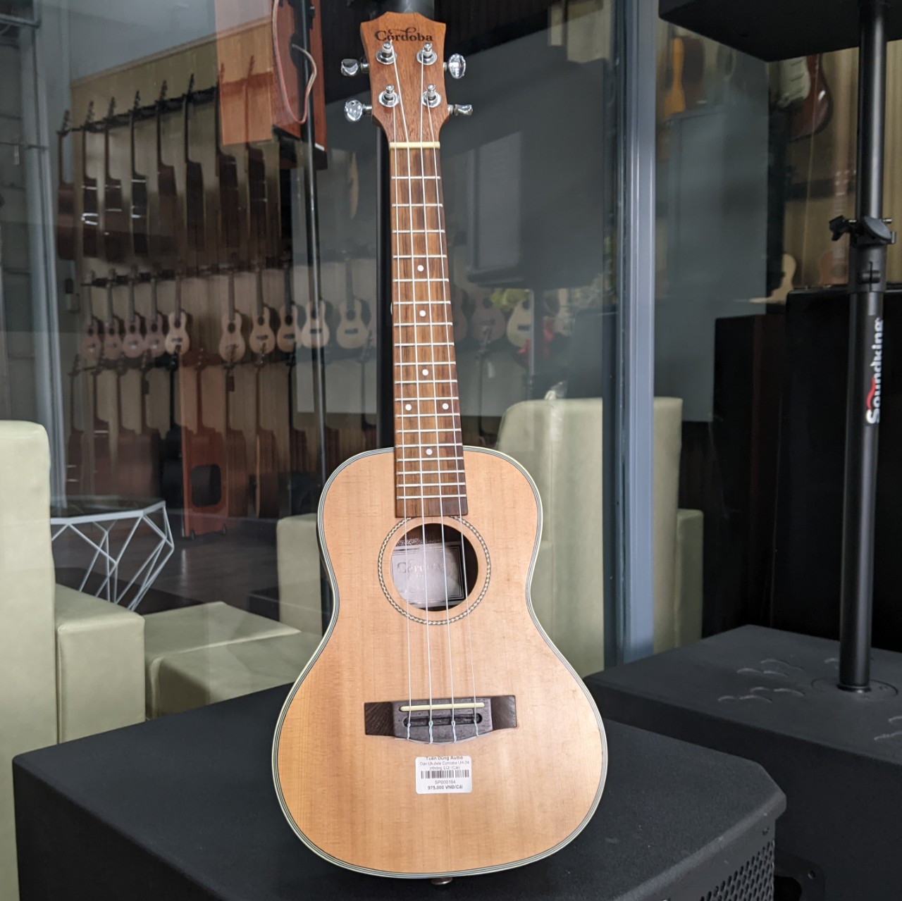 Đàn Ukulele Cordoba UK-24 (Không EQ)
